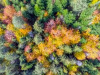 Beskid Niski